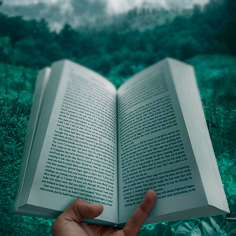 défaut visuel : la myopie