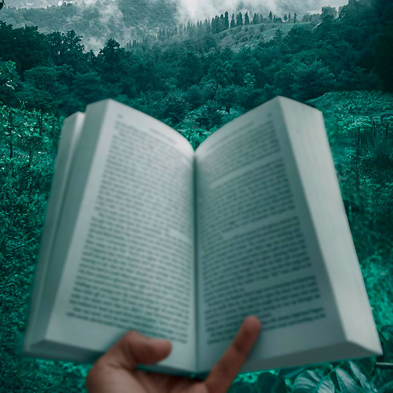 défaut visuel : la presbitie