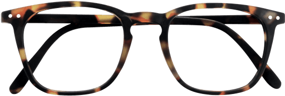 image monture homme ecaille tortue